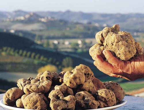 Why you should visit the long-running International Alba White Truffle Fair